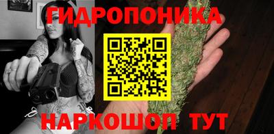 индика Кунгур