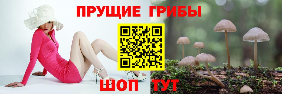 Галлюциногенные грибы MAGIC MUSHROOMS Омск